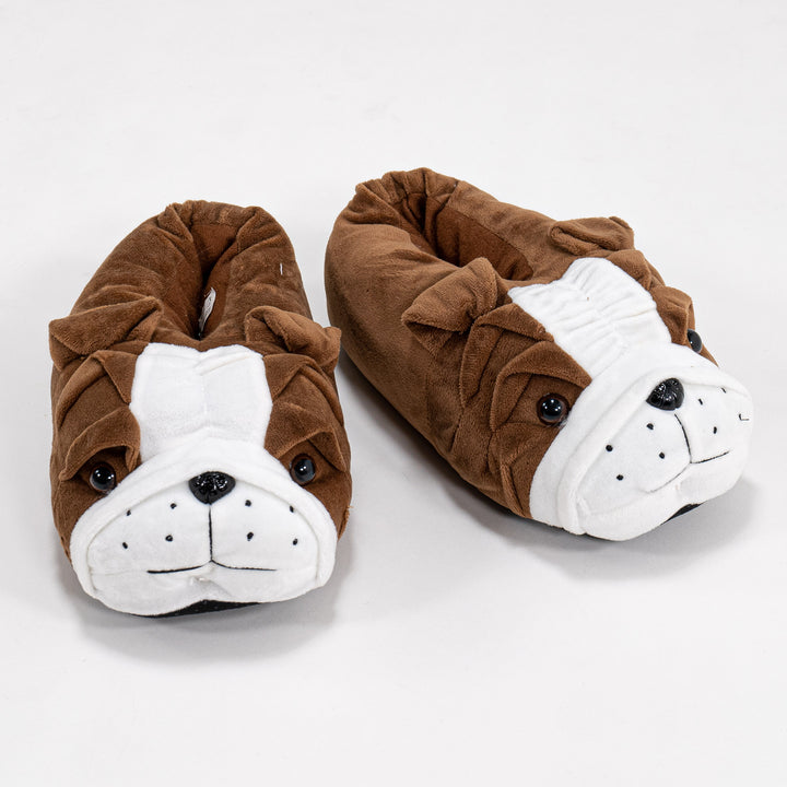 Pantoufles Bouledogue pour Hommes 01